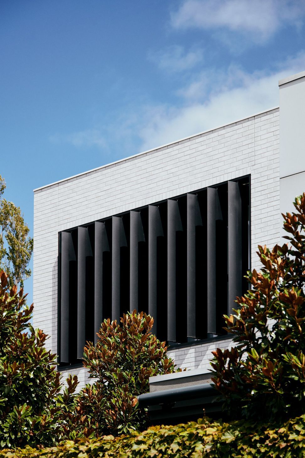 210202ReindersAvorHighSt0023.jpg
