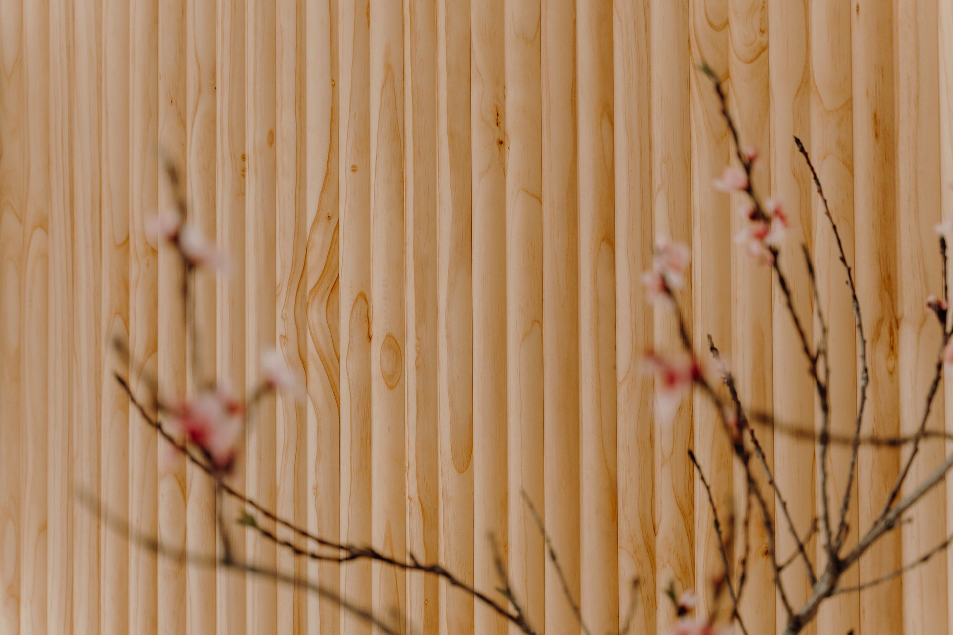 Picture of @maikonagao's home. Photo taken by Amanda Thomas Photography