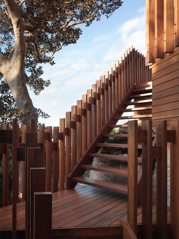 Exterior view of a raised timber deck and open staircase beside a timber-clad building, with vertical timber privacy or balustrade screens and a mature tree integrated into the surrounding landscape. The warm wood structure is set against exposed rock and sky, creating a natural, elevated outdoor circulation space.