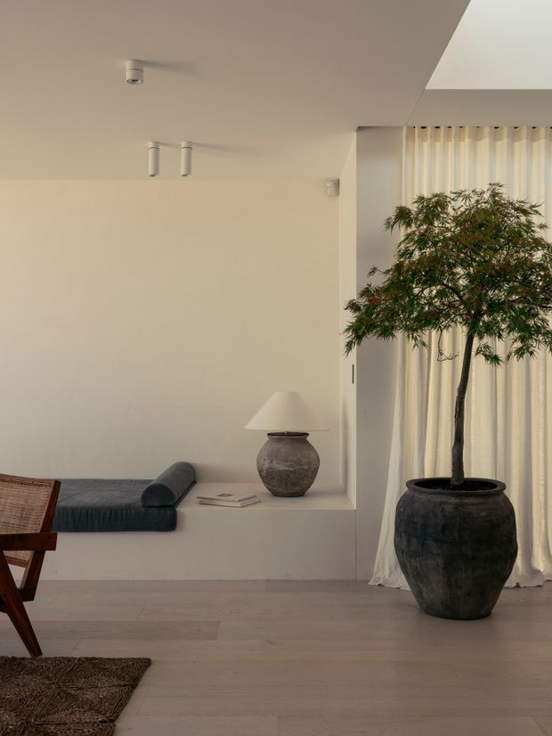 A calm, minimalist interior featuring a built-in daybed against a warm off-white wall, pale timber flooring, full-height cream curtains, and a large potted indoor tree. A sculptural ceramic table lamp and simple furnishings create a restrained, organic atmosphere.