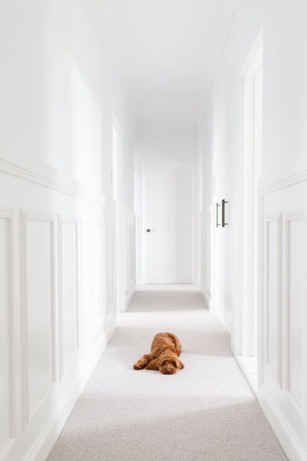 A bright, long residential hallway with white paneled walls, decorative wainscoting, multiple white doorways, and a pale carpeted floor. The corridor has a high, airy feel and minimal detailing, with dark door hardware providing a small contrast. A dog is lying on the carpet in the foreground.