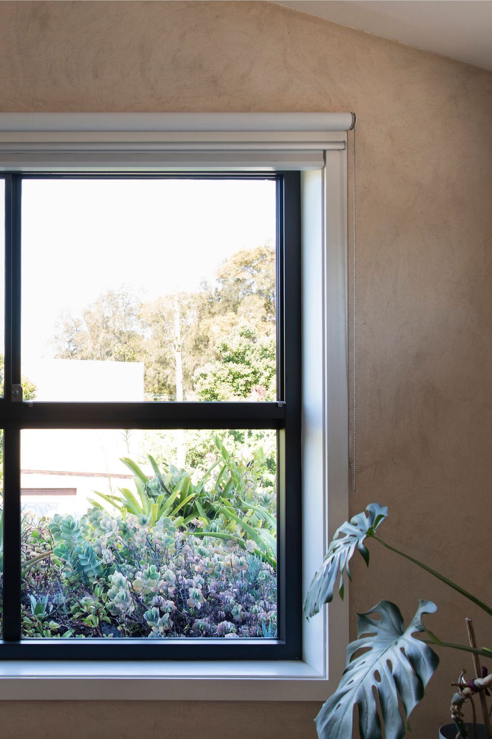 250313-Connected-Design-Marrickville-133B.jpg