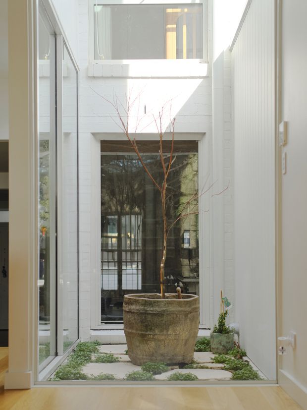 A bright, narrow internal courtyard viewed from an adjoining hallway or room. White-painted brick walls and tall glazing enclose a small planted courtyard with pale stone pavers, low groundcover, and a large weathered stone planter holding a bare branch. A high window and strong daylight create an airy vertical space, with interior doors and glass panels framing the view.