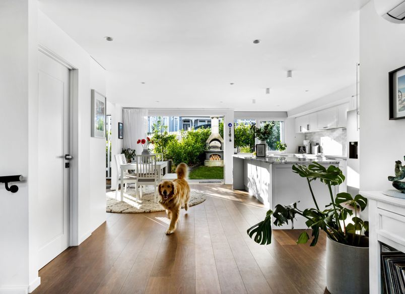 Stylish Ponsonby Renovation
