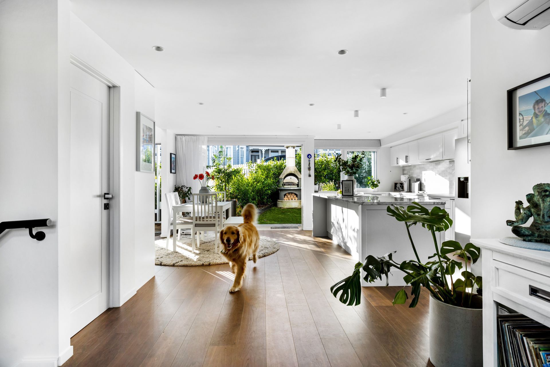 Stylish Ponsonby Renovation