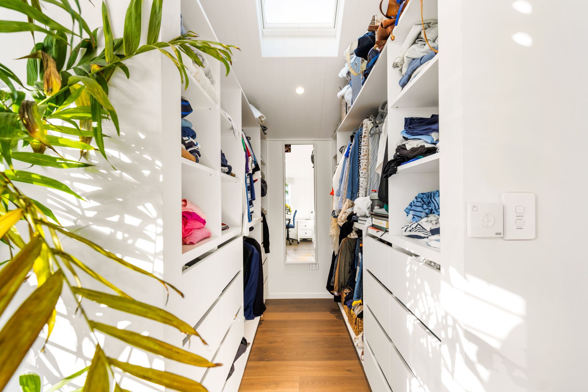 Stylish Ponsonby Renovation