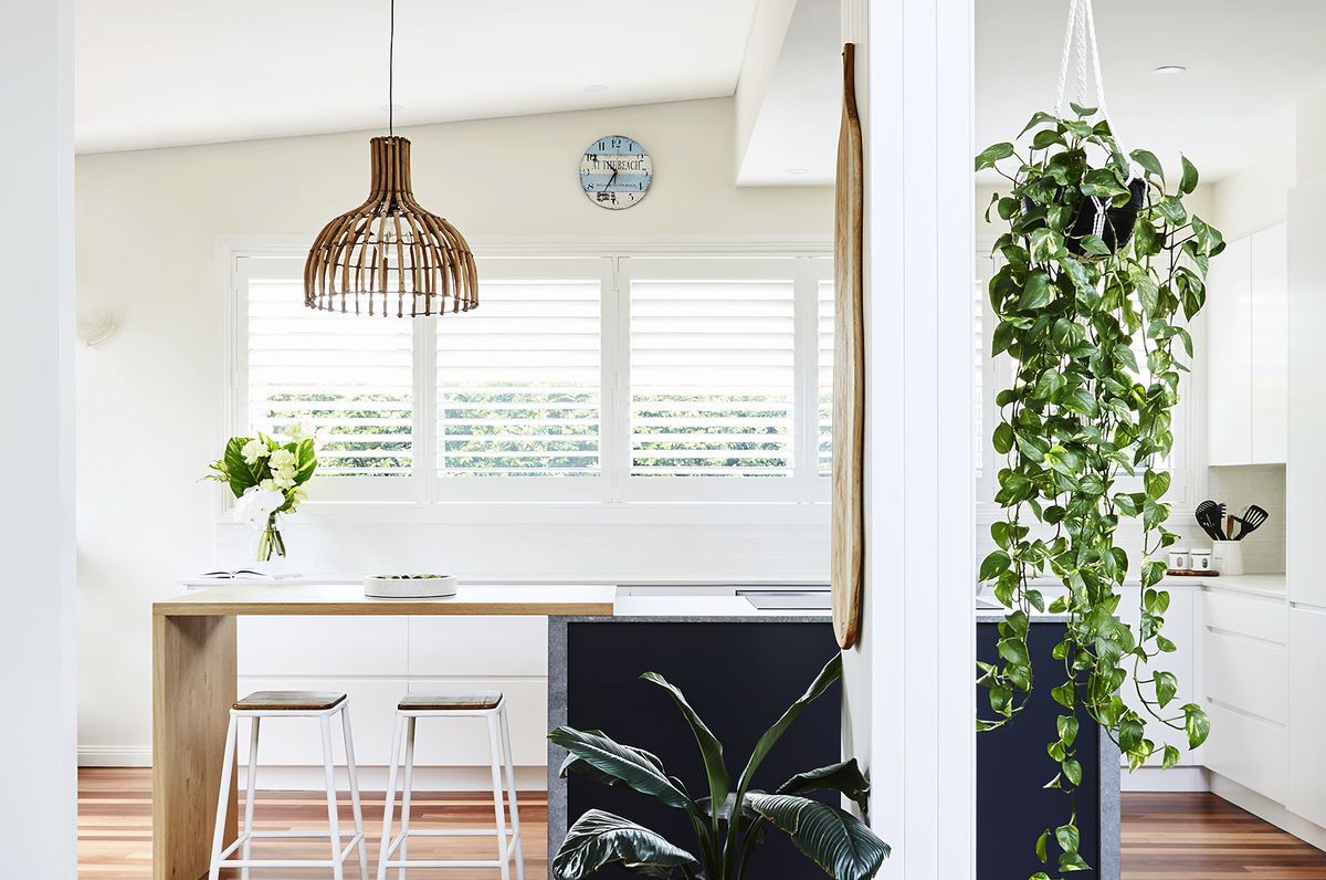 Mona Vale Project