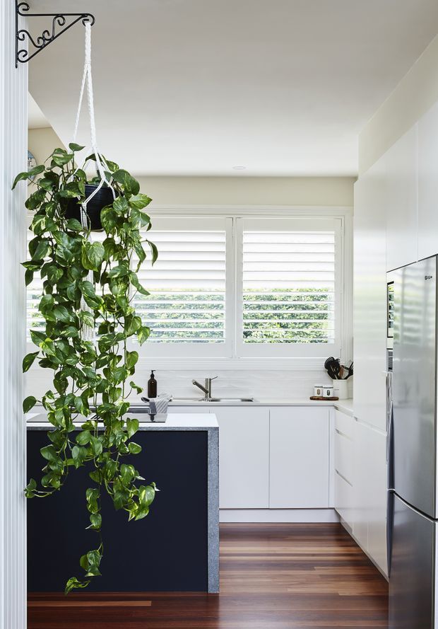 Bright, compact contemporary kitchen with white flat-panel cabinetry, white plantation shutters, stainless-steel refrigerator, and a dark island with a grey stone benchtop. Warm timber flooring contrasts with the predominantly white fit-out, while a large trailing indoor plant hangs from a decorative wall bracket in the foreground.