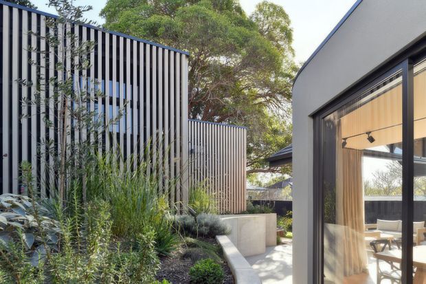 Contemporary residential exterior showing a landscaped courtyard walkway between a dark vertical slatted screen and a modern pavilion with large black-framed glazing. The glazing reveals a warm timber-lined interior with dining furniture. Concrete planters, gravel, grasses and mature trees soften the architectural forms.