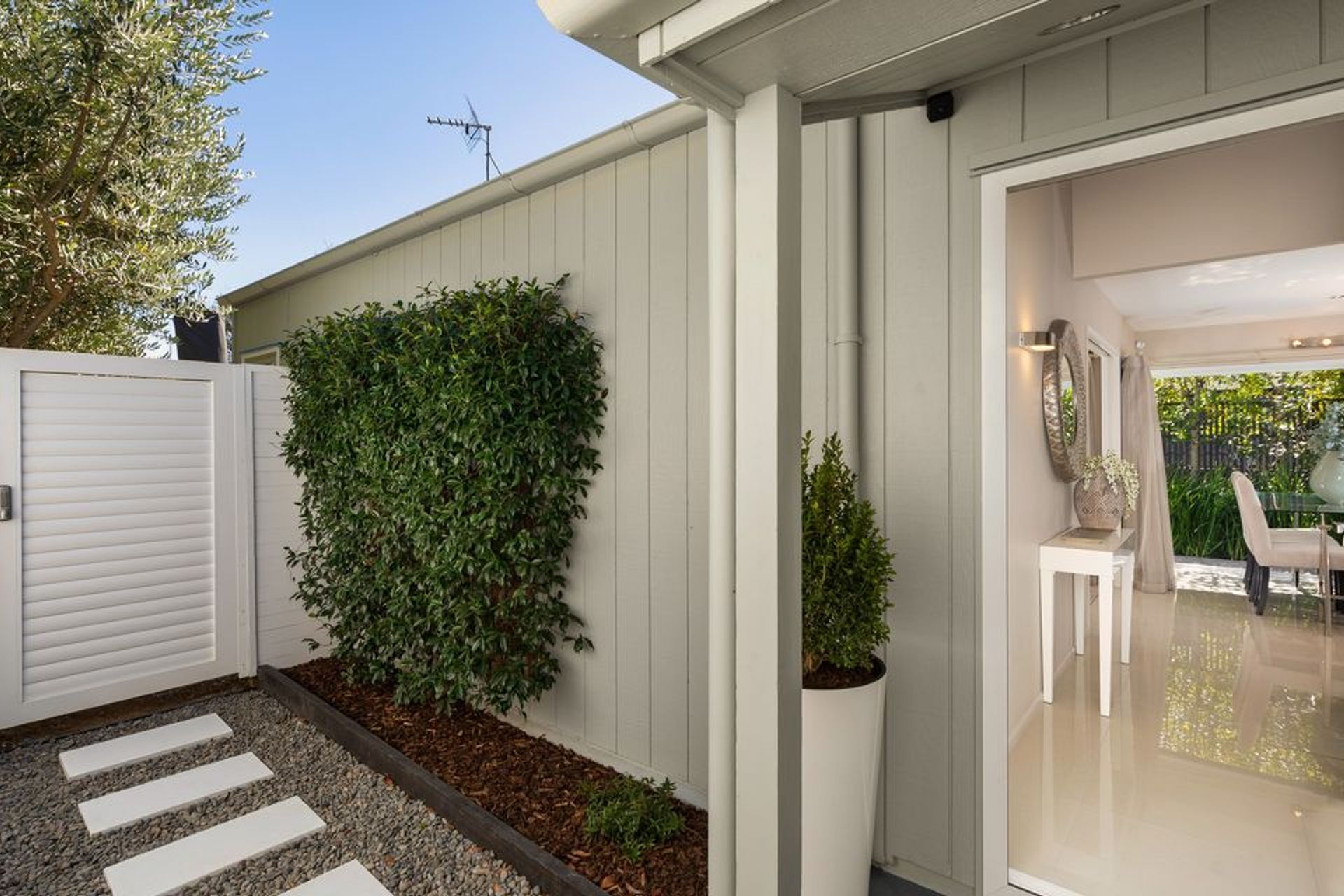 Mt Albert, Renovation