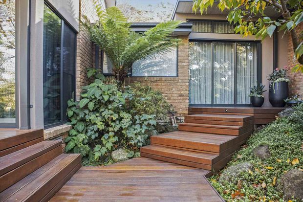 A landscaped courtyard entrance between interconnected contemporary building volumes. Warm timber decking and steps lead to large glazed doors and windows, with exposed tan brick walls, dark frames, dense fern and leafy planting, and potted plants creating a secluded garden setting.