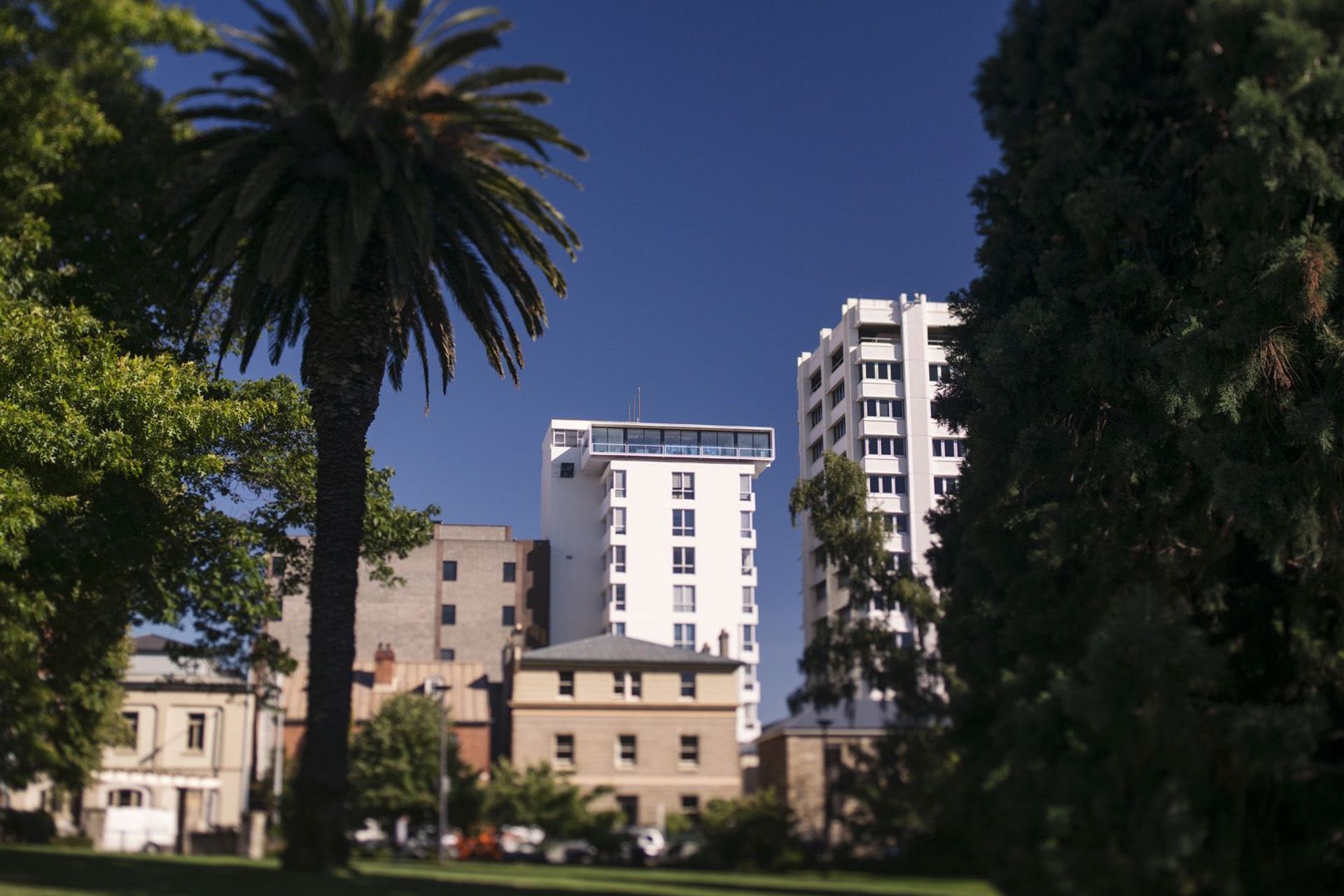 Avalon City Retreat Omnipod