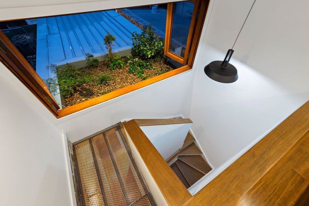 Interior view looking down a contemporary stairway with warm timber handrails and flooring, white walls, metal mesh stair treads, and a large timber-framed roof window overlooking a planted courtyard or roof garden. A black pendant light hangs beside the stairwell.