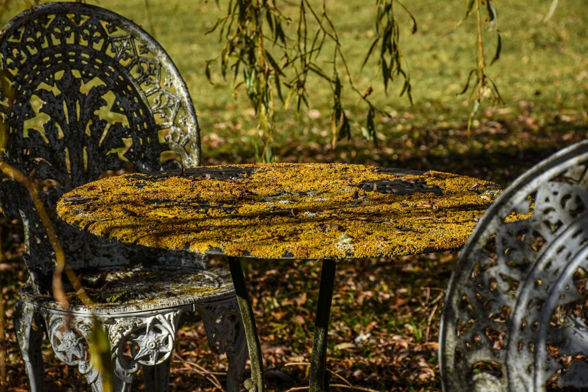 Tranquility in the garden