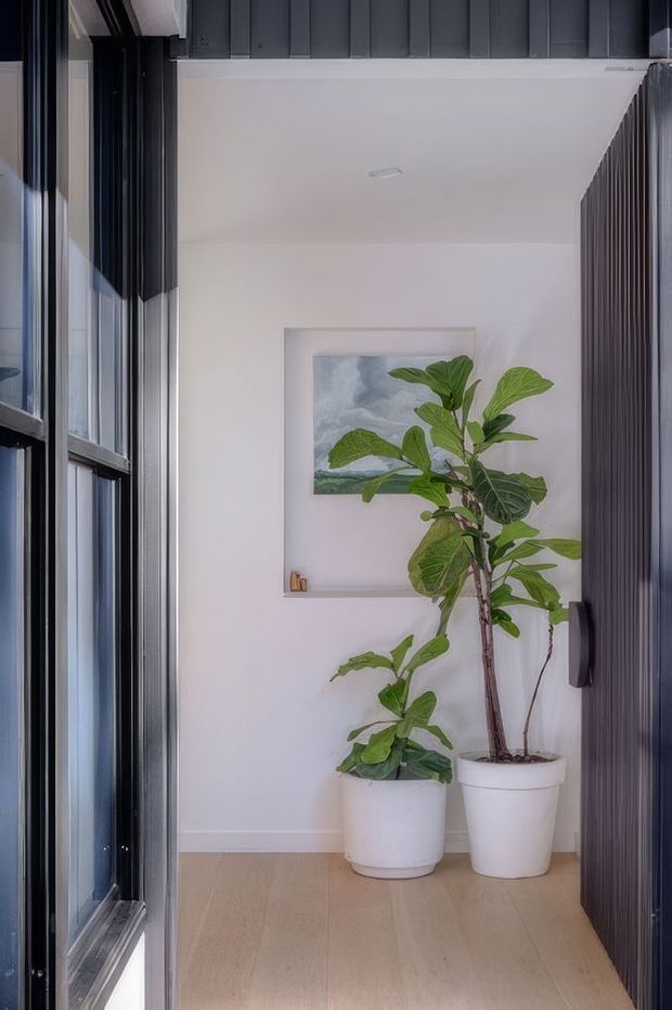 A narrow, bright interior passage or entry area with pale timber flooring, white walls, dark vertical wall panelling and large black-framed glazing on the left. Two potted fiddle-leaf fig plants sit beneath a framed artwork, creating a calm contemporary feature at the end of the space.