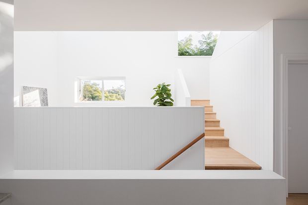 Bright minimalist stairway and landing with white vertical-panel balustrades and walls, pale timber stair treads, and a slim timber handrail. Natural light enters through a high clerestory-style opening and a small window, with a potted plant and framed artwork adding subtle detail.