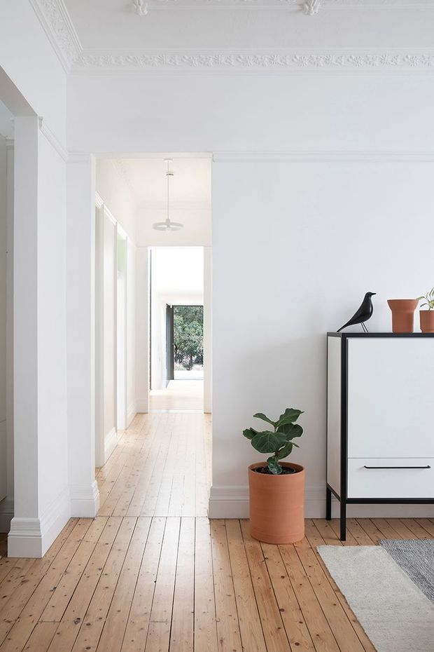 Bright, refined residential hallway and entry area with white walls, ornate decorative ceiling cornices and plaster detailing, and warm exposed timber floorboards. A black-framed minimalist console with white drawer fronts sits against the wall, accompanied by terracotta planters and a black bird sculpture. The hallway extends toward a glazed exterior doorway with greenery visible beyond.