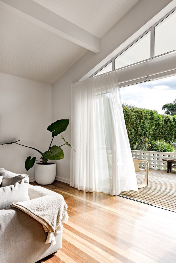 Bright, airy living room with warm timber flooring, white walls and a white-lined pitched ceiling with exposed beam detail. Floor-to-ceiling glazed doors and high clerestory windows open onto a timber deck, screened by sheer white curtains. A neutral upholstered sofa and large potted tropical plant create a relaxed indoor-outdoor setting.