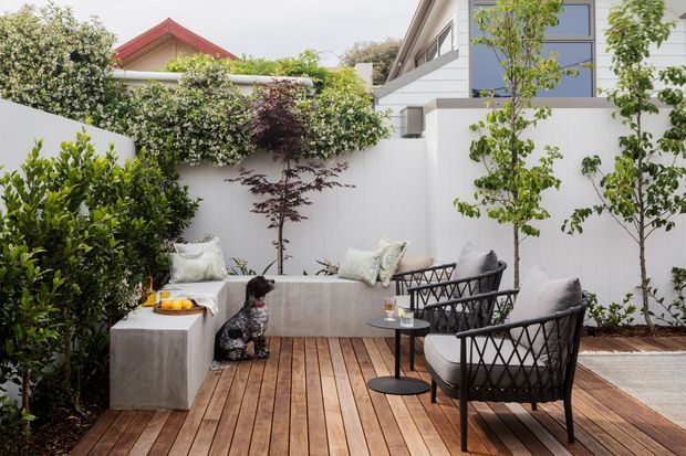 A compact landscaped courtyard terrace with a warm timber deck, built-in concrete seating, black woven lounge chairs, and a small round side table. White privacy walls, raised planting, and mature greenery create a secluded outdoor entertaining area, with neighbouring residential architecture visible beyond.