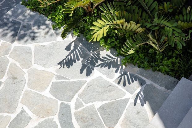 Close-up view of an irregularly laid natural stone-paved outdoor surface bordered by dense tropical greenery. Strong sunlight creates crisp botanical shadows across the pale grey and beige paving, with a dark grey step or edge visible at the lower right.