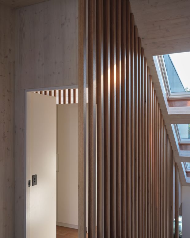 Interior architectural detail showing a warm timber-lined corridor or landing. A full-height vertical timber batten screen runs along the right side, partially revealing a stair or circulation space, while pale timber wall and ceiling boards continue throughout. An open white door leads to an adjacent room, and a series of roof skylights brings in natural light.