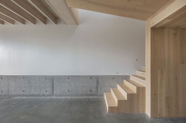 Minimalist interior featuring a raw concrete floor and low concrete wall, white plaster walls, and a sculptural light timber stair integrated into a timber-framed mezzanine or upper level. Exposed timber ceiling beams and warm wood joinery contrast with the cool concrete surfaces. The space appears open, uncluttered, and architecturally focused.