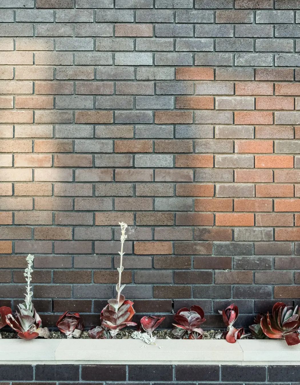 ##Bellevue Hill House