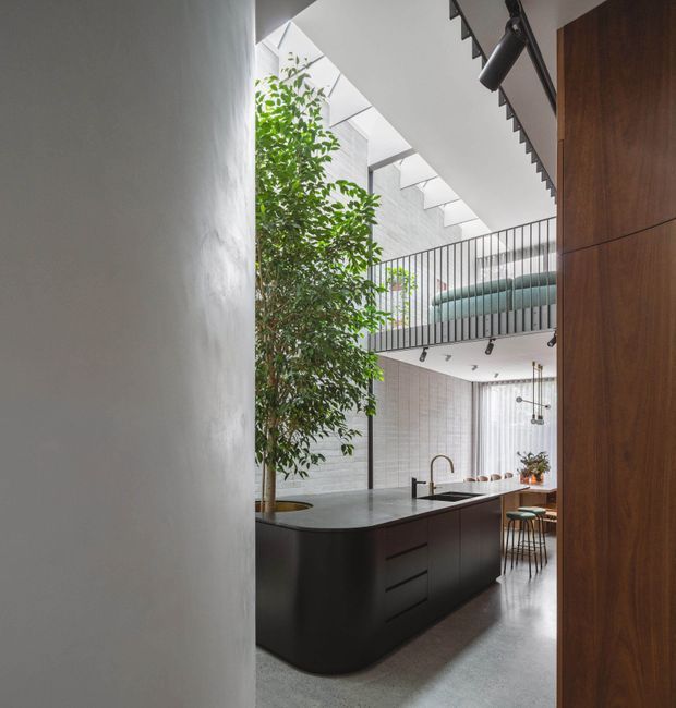 A contemporary double-height kitchen viewed from an adjoining space, featuring a large dark island with integrated sink and curved end, a tall indoor tree, pale textured masonry walls, black metal balustrades, exposed upper-level walkways, skylights, track lighting, and warm timber wall panelling. A dining area is visible beyond the island.