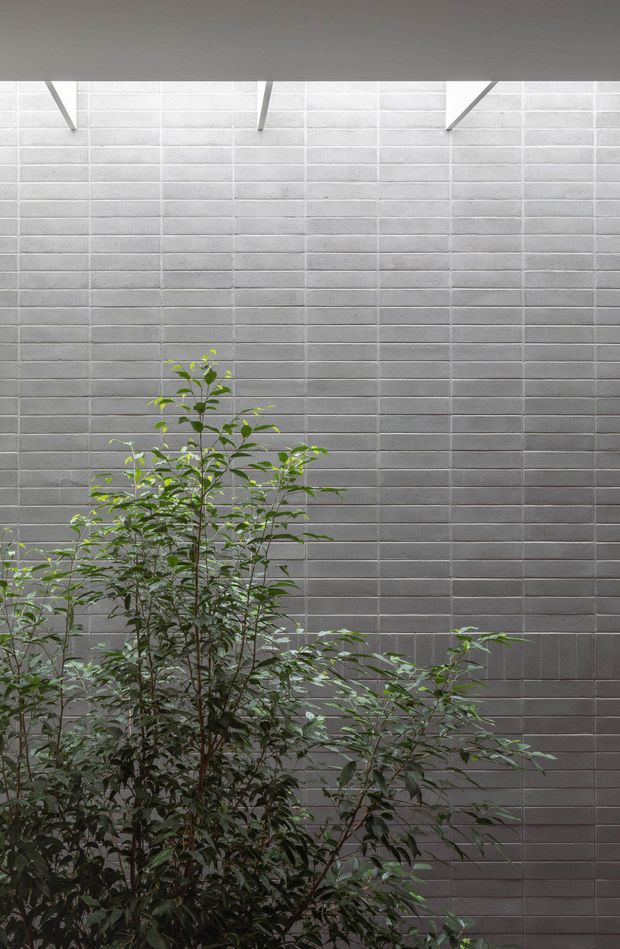 A minimalist architectural courtyard or lightwell featuring a tall grey rendered brick wall with strong horizontal coursing, narrow roof overhangs or structural beams at the top, and dense green planting in the foreground. The restrained material palette and filtered natural light create a quiet, contemplative atmosphere.