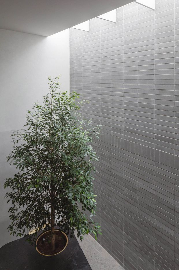 A minimalist interior courtyard or atrium with a tall grey brick-tile feature wall, white plastered walls and ceiling, and a linear skylight bringing in natural light. A large potted indoor tree occupies the foreground, contrasting with the restrained monochromatic architectural finishes.