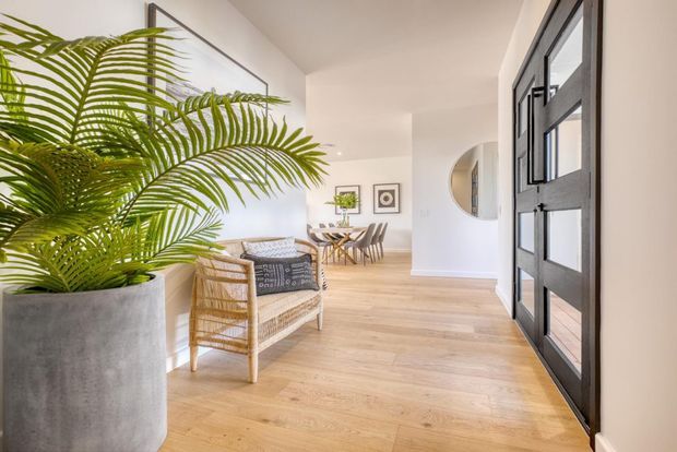 Bright contemporary residential entryway with pale timber flooring, white walls, a large black-framed glazed front door, and a relaxed rattan lounge chair beside a substantial potted palm. A dining area is visible beyond the entry, with framed artwork and a rounded wall opening adding architectural interest.