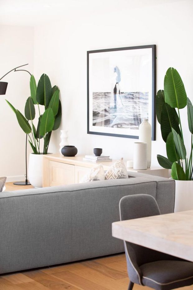 Bright, airy contemporary living and dining area with a grey upholstered sofa, pale timber flooring, light timber sideboard, indoor tropical plants, neutral decorative objects, and a large black-framed coastal artwork. A dining table and chair are visible in the foreground.