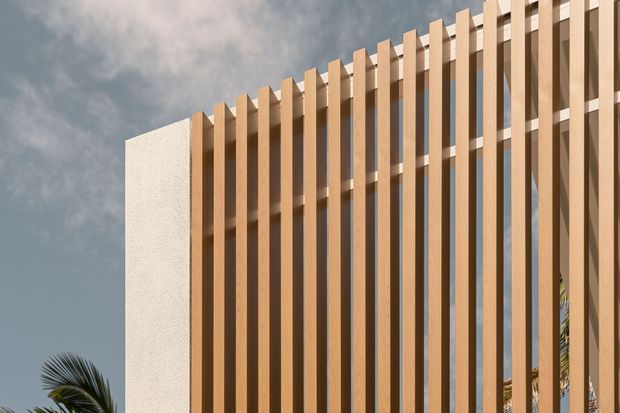 Close-up exterior view of a contemporary building facade with repeated vertical warm timber-toned fins or slats forming a screen over glazing. A pale textured wall panel anchors the left side, with a blue-grey sky and partial palm foliage visible in the background. The design has strong vertical rhythm and sun-shading qualities.