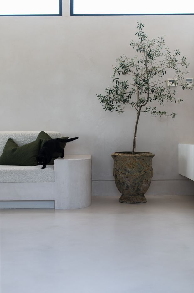 A calm, minimalist living room vignette with a low white upholstered sofa, dark green and black cushions, a large aged stone planter with a slender indoor tree, pale plaster walls, a smooth light floor, and high horizontal windows with dark frames. A white wall-mounted radiator is visible at right.