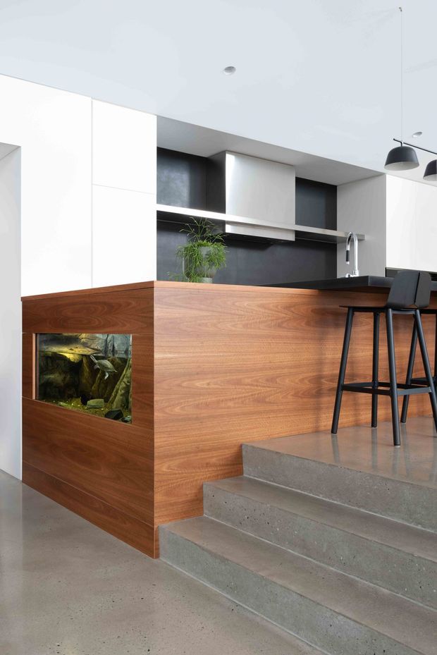 A contemporary open-plan kitchen viewed from a lower level, featuring a large walnut-toned timber island with an integrated aquarium, dark benchtop, white overhead cabinetry, dark splashback, black pendant lights, and bar stools. Polished concrete steps and flooring create a strong industrial-modern contrast with the warm timber joinery.