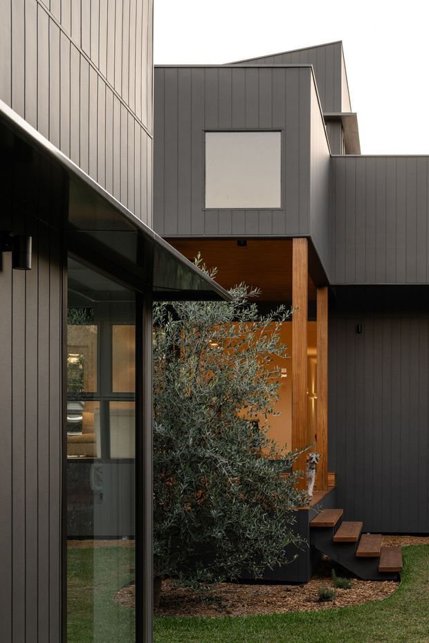 Exterior architectural photograph of a contemporary multi-level home arranged around a small landscaped courtyard. The facade is clad in dark vertical panels, with large black-framed glazing, warm timber-lined recessed entry and stepped timber-and-dark-metal access stairs. An olive tree and low planting soften the enclosed courtyard.