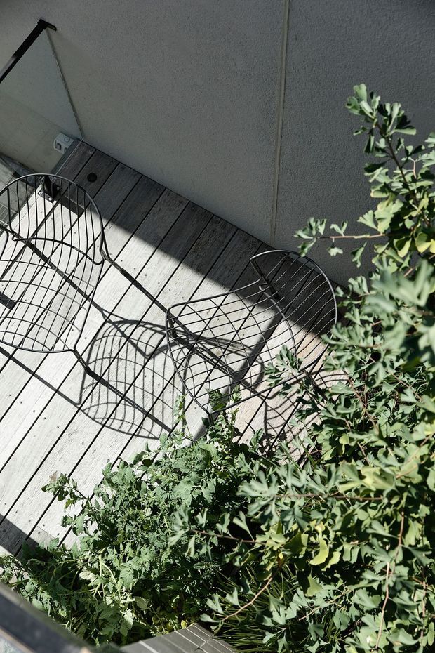 A sunlit outdoor terrace viewed from above, featuring pale timber decking, two black wire-frame chairs, and dense leafy planting along the edge. A light rendered wall and partial glazing frame the compact balcony-like space, with strong shadows creating a graphic pattern across the deck.