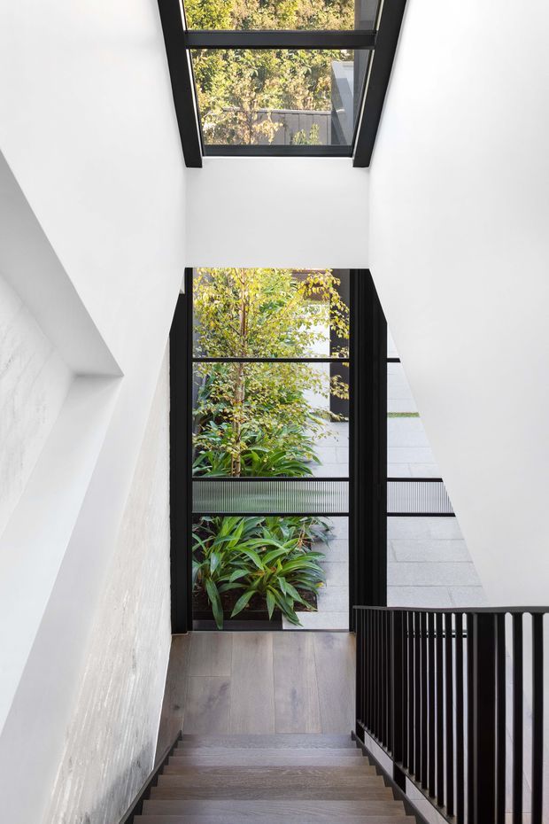 A bright modern stairwell viewed from above, with light timber stair treads, white plaster walls, and a black metal balustrade. Full-height black-framed glazing opens views toward a planted courtyard, while a glazed skylight brings in natural light from above. The space has a clean, minimalist architectural character with strong vertical lines and an indoor-outdoor connection.