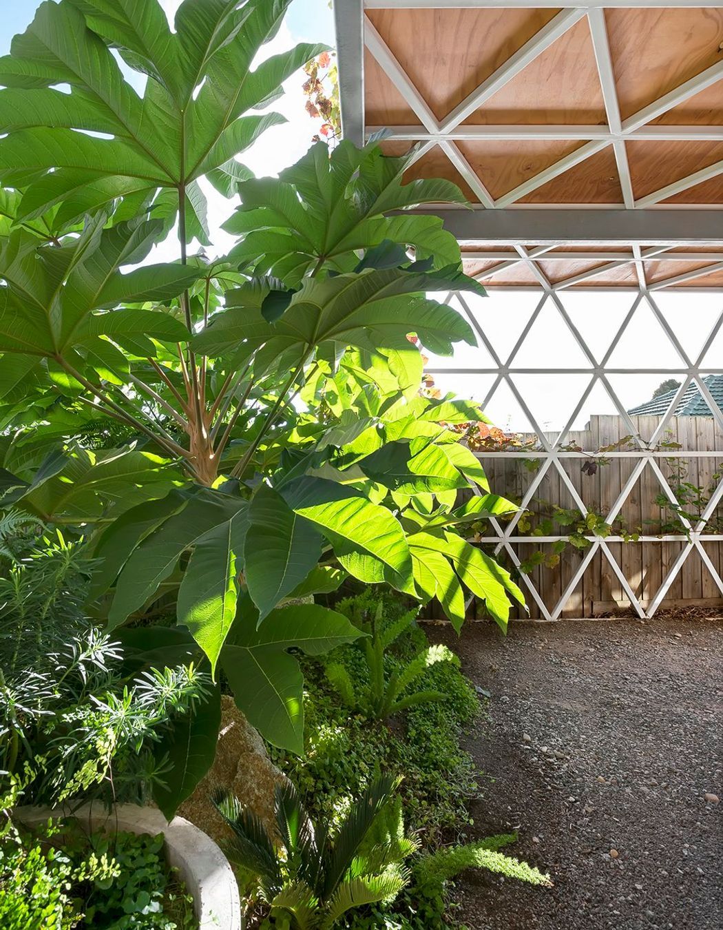 50/50s House - Pascoe Vale