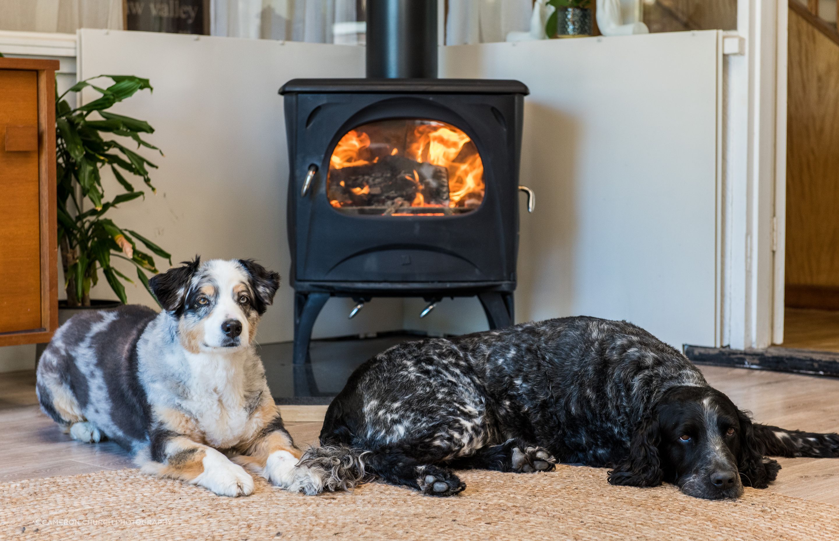 Fireside Bliss: Enjoy the warmth and charm of the Seguin Aurore Cast Iron Fireplace at Fishermans' Cottage, where two loyal companions bask in cozy comfort