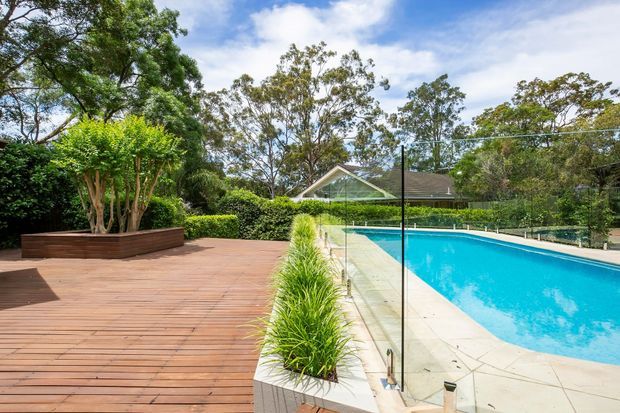 A landscaped residential outdoor area featuring a large rectangular swimming pool enclosed by frameless glass fencing, alongside a spacious timber deck. Built-in raised planters with ornamental grasses and trees soften the pool edge, with mature garden vegetation and a suburban house visible beyond.