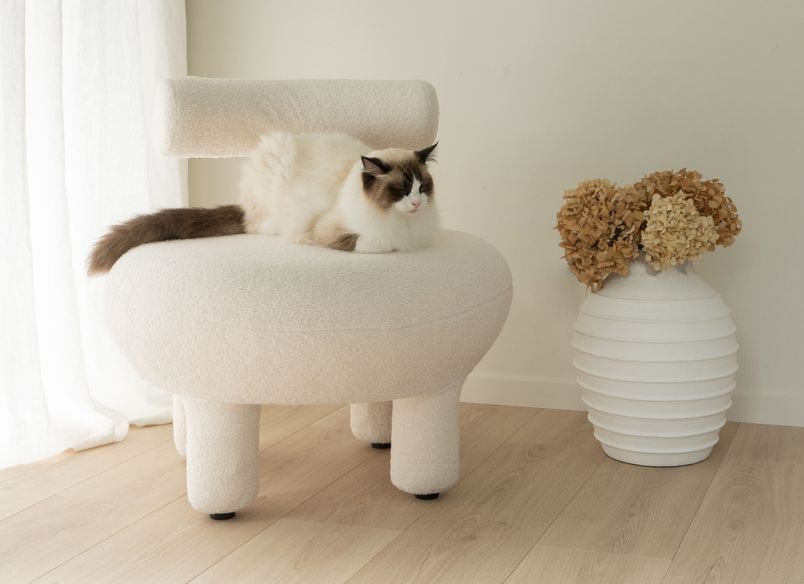 A Calm Sanctuary on Auckland’s North Shore