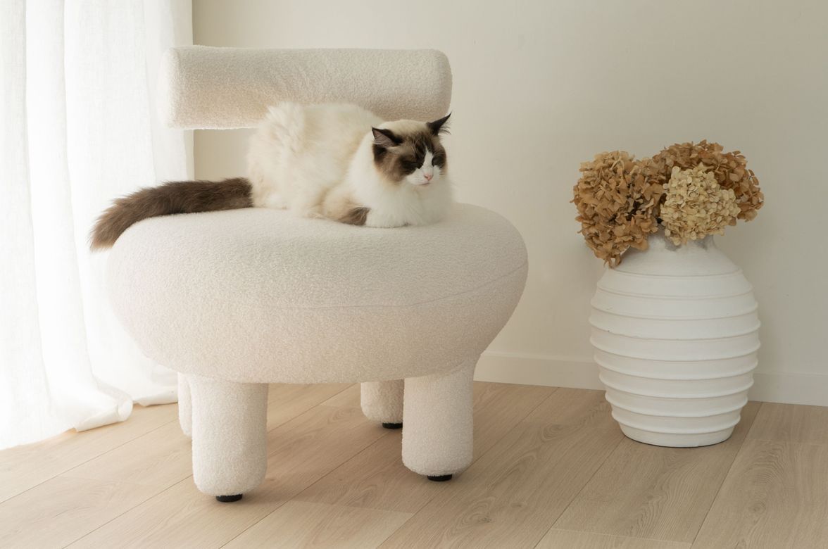 A Calm Sanctuary on Auckland’s North Shore