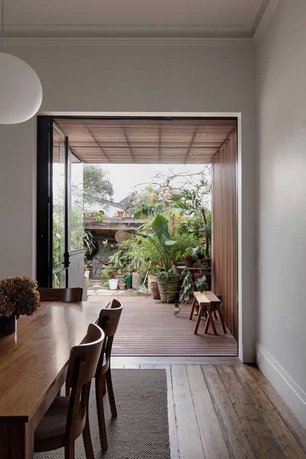 A refined dining area opens through a large black-framed glazed door into a leafy landscaped courtyard. The interior features a long dark timber dining table with wooden chairs, pale walls, a decorative coffered ceiling with moulded trim, and wide weathered timber floorboards. The courtyard continues with timber decking, a timber-lined overhead soffit, and abundant potted greenery.