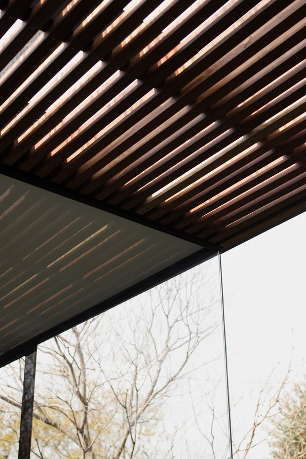 Close-up architectural view looking upward at a covered outdoor or semi-outdoor space. Parallel dark timber ceiling battens form a slatted pergola-like roof, with light filtering between the members. Black structural framing and expansive clear glazing open the space toward leafless trees outside. The composition emphasizes the rhythm of the exposed timber structure and the indoor-outdoor connection.
