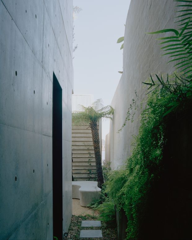 A narrow, secluded outdoor passage between tall architectural walls, featuring a smooth grey concrete wall with a dark doorway on the left and a textured pale wall covered with lush trailing greenery on the right. Stepping stones lead through gravel toward a timber slatted screen and a small palm-like tree, creating a calm, enclosed garden walkway with strong vertical forms.