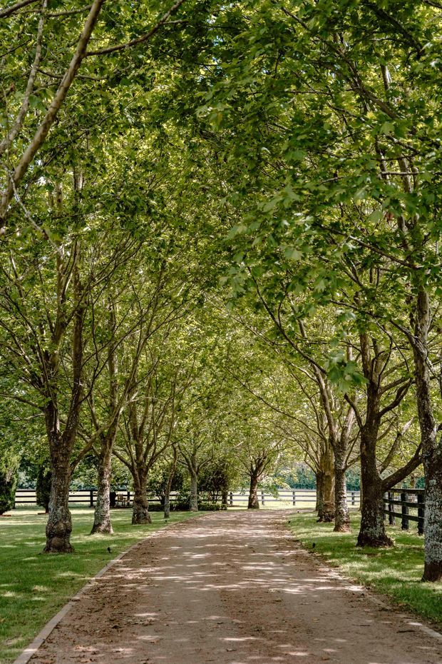 A tree-lined gravel or compacted-earth garden path forming a leafy canopy, bordered by neatly maintained grass and dark timber fencing. The path leads toward an open rural landscape beyond the trees, creating a peaceful landscaped setting.