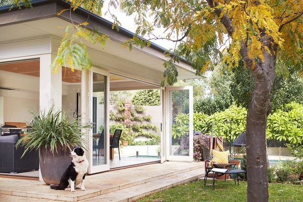 A bright contemporary single-storey home extension opening onto a landscaped garden. The covered patio has pale timber decking, extensive glazed folding or hinged doors, white structural columns, and a ribbed or lined ceiling. Indoor and outdoor seating areas connect visually, with mature trees and planting surrounding the space.