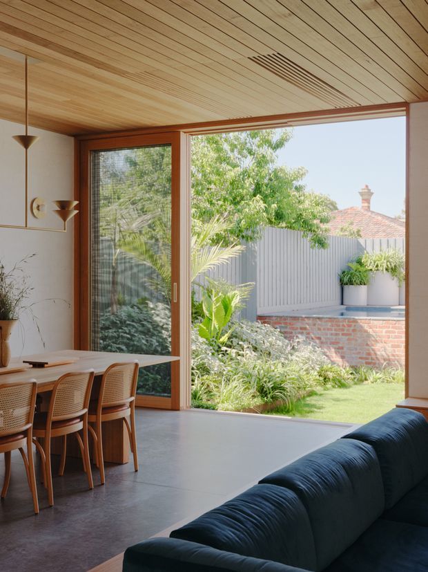A bright, mid-century-inspired open-plan interior combining a dining area and living space, framed by extensive timber glazing that opens onto a landscaped courtyard. The room features a slatted timber ceiling, warm timber window and door frames, polished grey concrete flooring, a wooden dining table with woven cane chairs, sculptural wall-mounted lighting, and a dark blue sofa in the foreground. Outside are a planted garden, brick retaining wall, pale vertical fence, and a glimpse of a tiled roof.