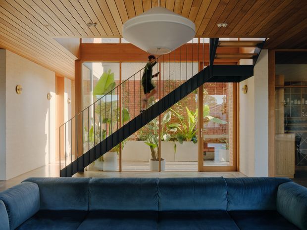A warm, modern living room viewed toward a glazed courtyard, with a large deep-blue sectional sofa in the foreground, a black open-riser staircase crossing diagonally through the space, timber-lined ceiling, pale plaster walls, and extensive timber-framed glazing. Tropical planting and brickwork are visible beyond the glass, while built-in shelving or cabinetry appears at the right.